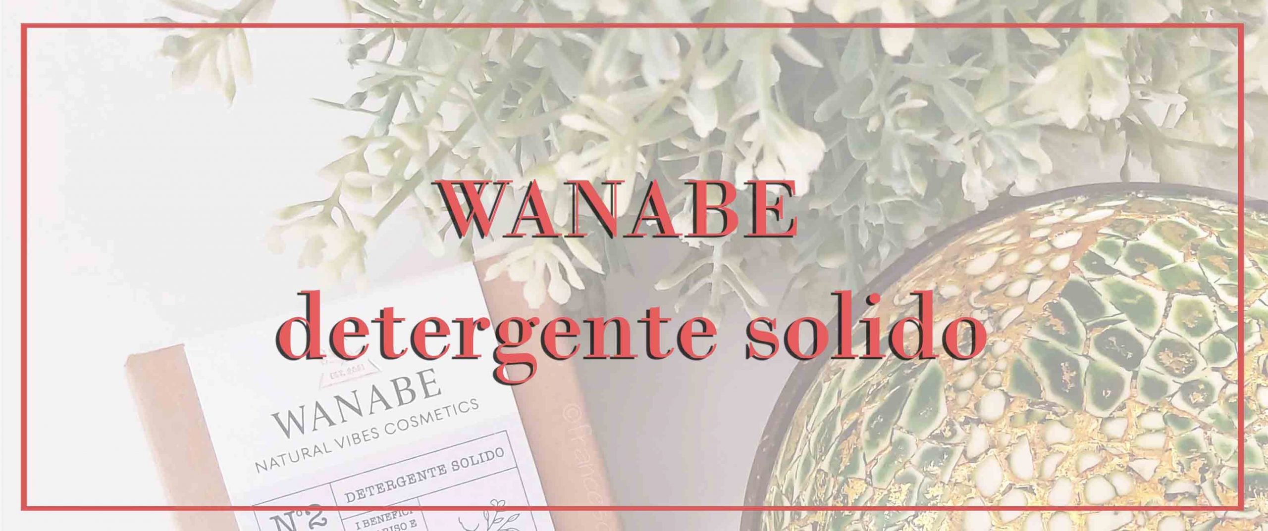Detergente solido Wanabe